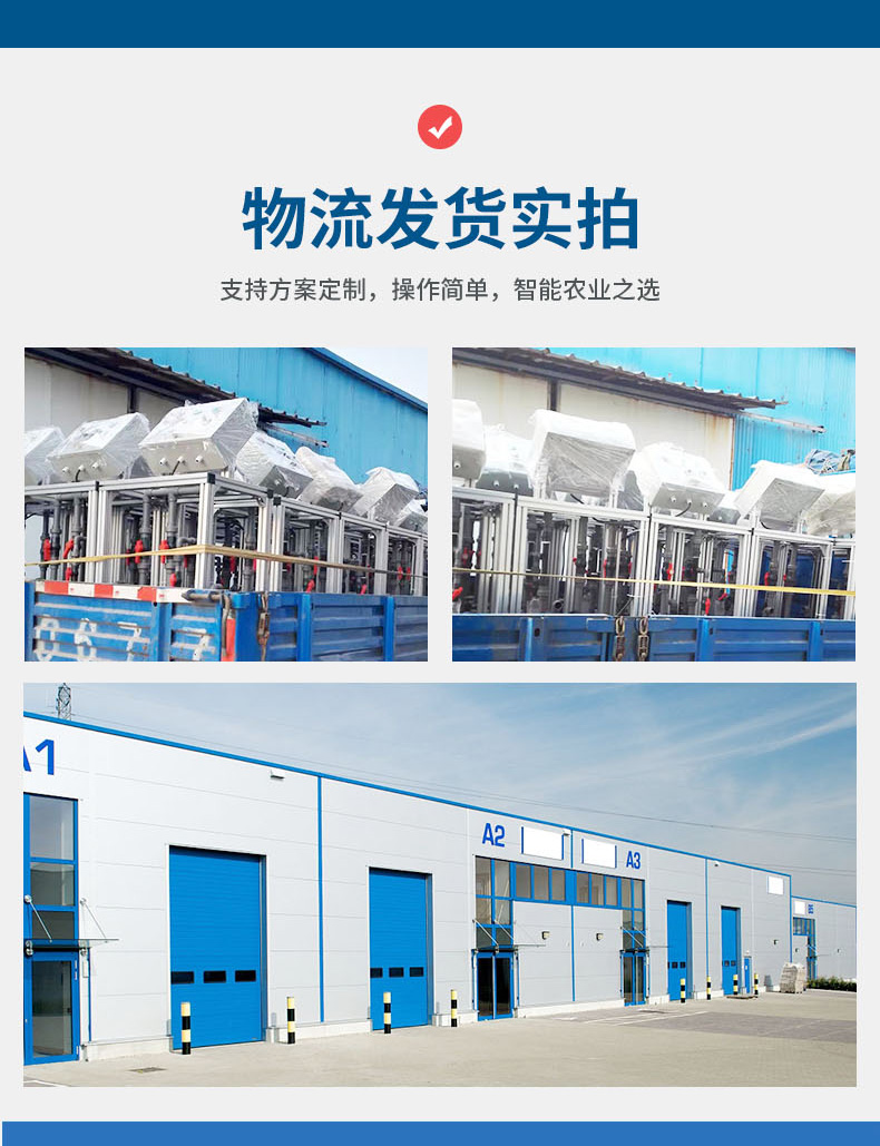 小黄详情_12.jpg