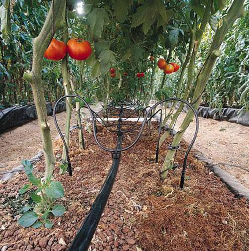 水肥一体化设备滴灌施肥的优点有哪些
