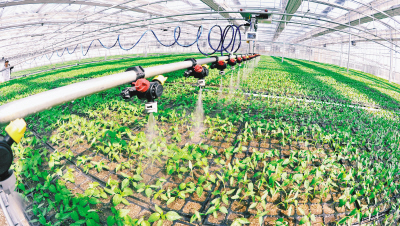 让水肥一体化设备振兴乡村农业